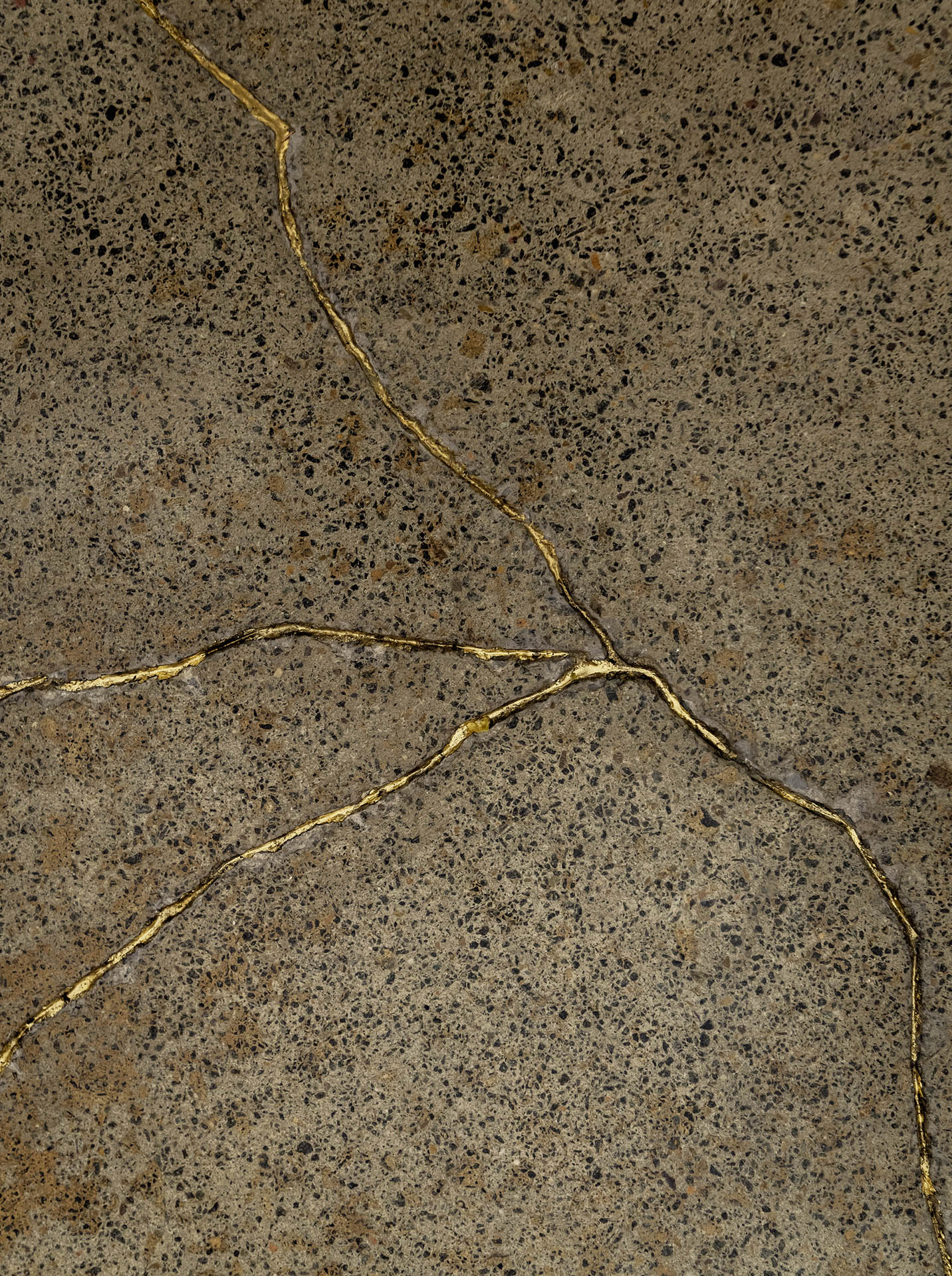 Concreative flooring exmaple with gold